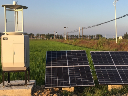 太陽(yáng)能智能蟲(chóng)情測(cè)報(bào)燈